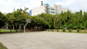 Basketball Court_2